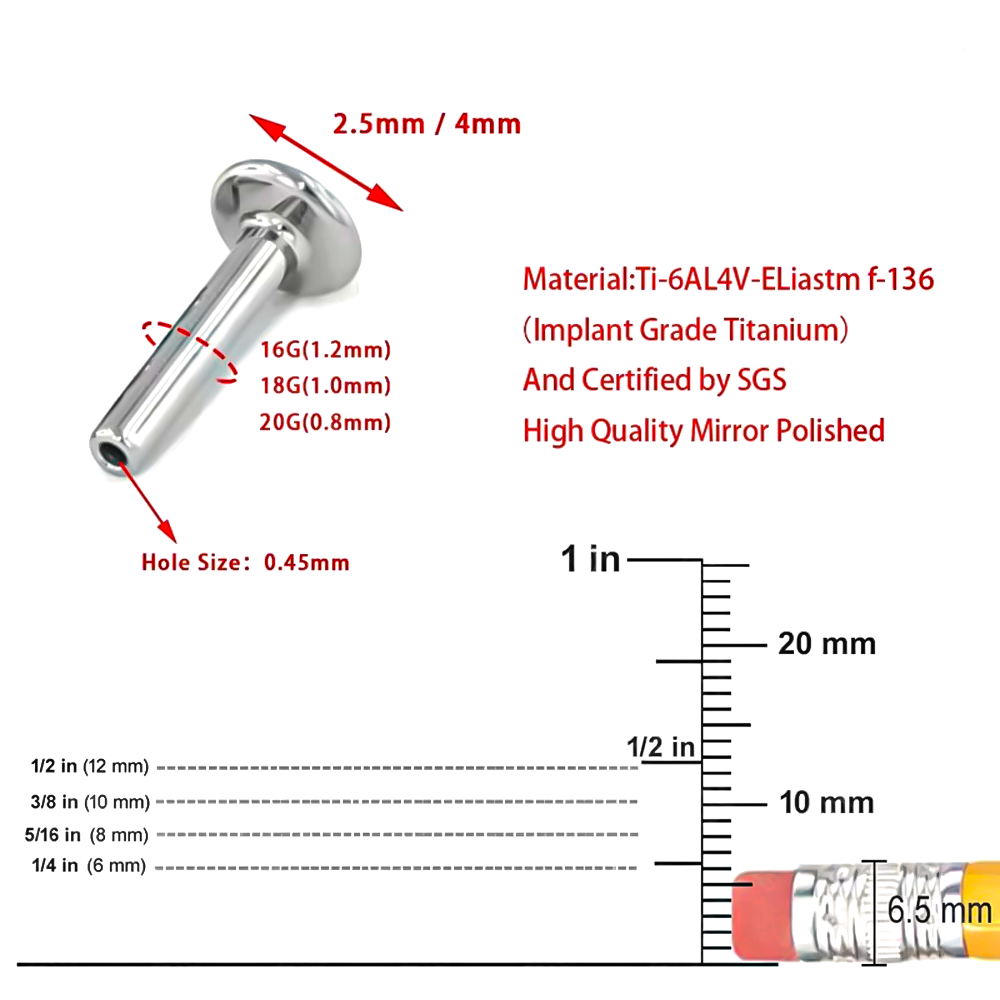Brand New Set da 10 pezzi F136 - Body Jewelry Brands recensione e prezzo