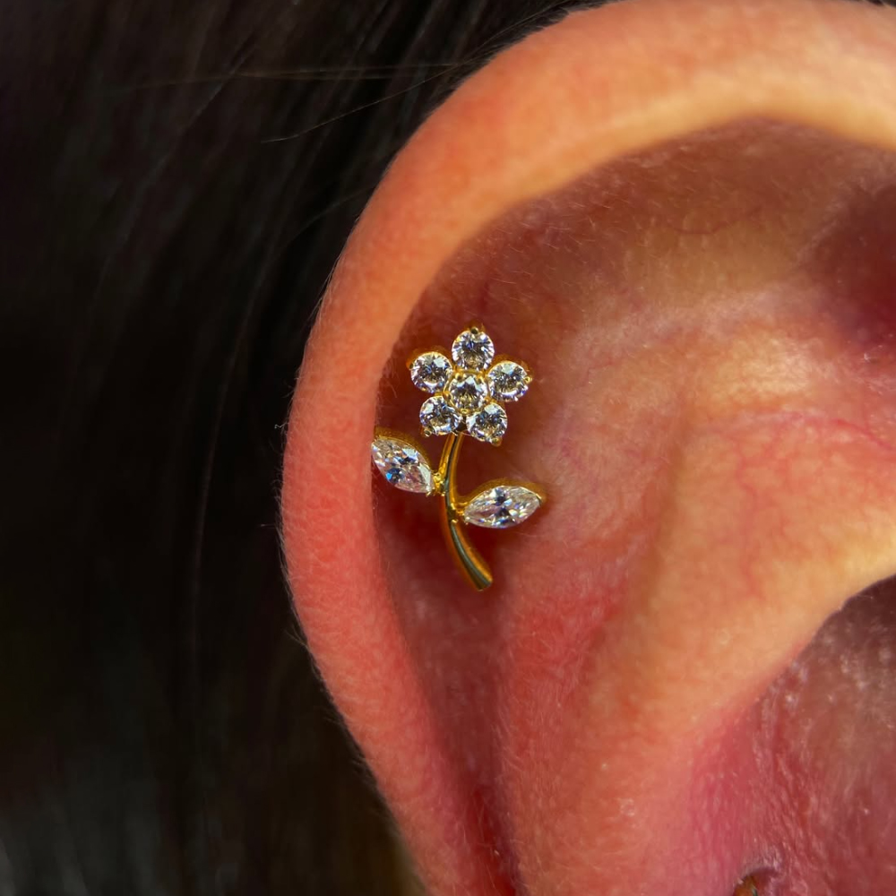 1 Pezzo Piercing Labret in Tit - Conch Earring Hoop recensione e prezzo