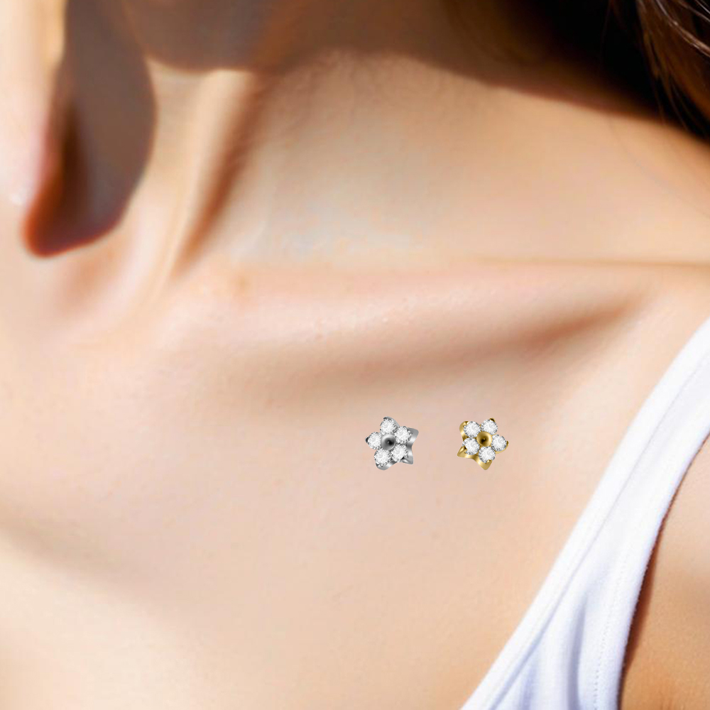 1PC G23 Impianto Titanio Ancor - Dermal Anchor Top recensione e prezzo